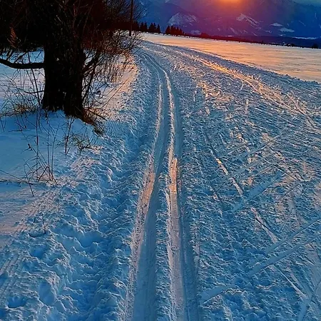 Tiny House Lavender *