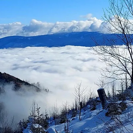Tiny House Lavender * Podturen