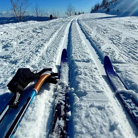 Tiny House Lavender Prázdninový dům