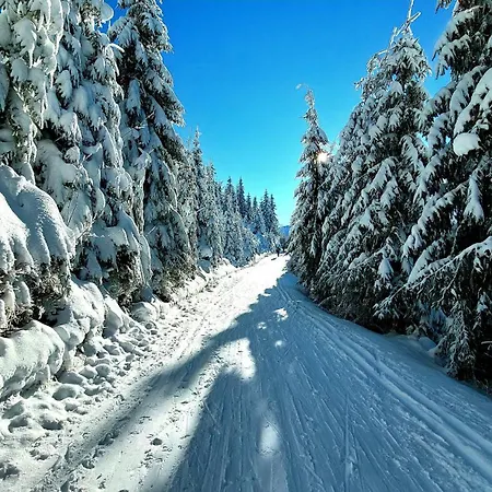 Сasa de vacaciones Tiny House Lavender