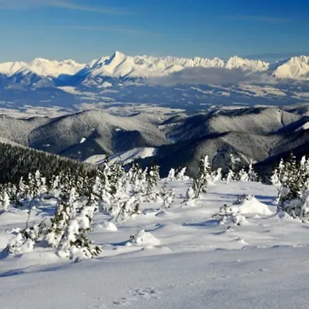 Tiny House Lavender Podturen