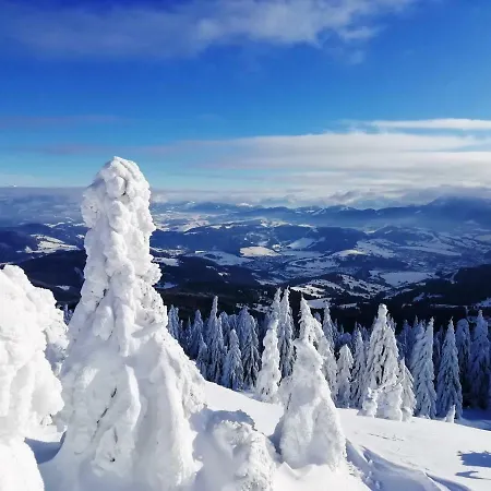 Tiny House Lavender Podturen