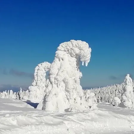 Tiny House Lavender Prázdninový dům